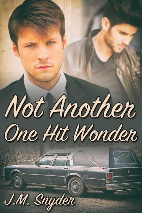 Cover image for book Not Another One Hit Wonder