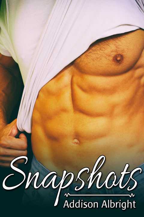 Cover image for book Snapshots