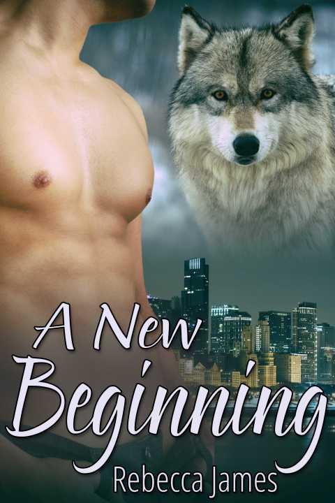 Cover image for book A New Beginning