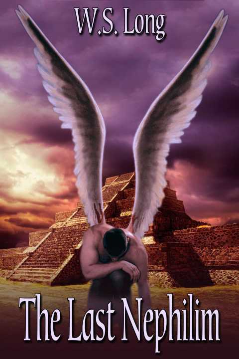 Cover image for book The Last Nephilim