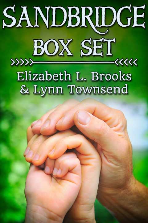 Cover image for book Sandbridge Box Set