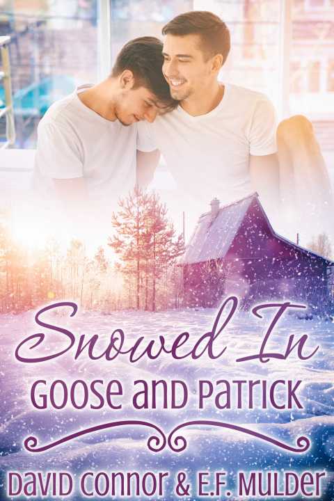 Cover image for book Snowed In: Goose and Patrick
