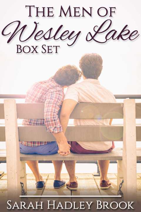 Cover image for book The Men of Wesley Lake Box Set