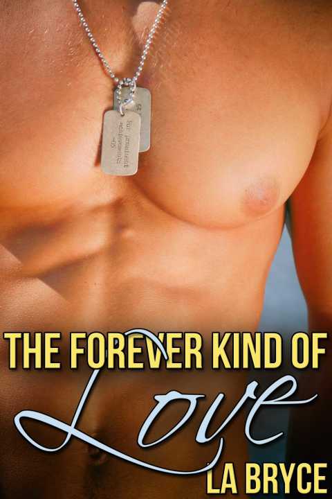 Cover image for book The Forever Kind of Love