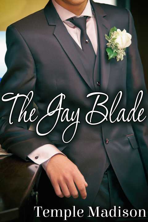 Cover image for book The Gay Blade