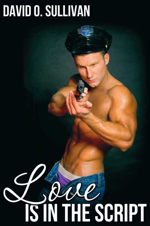 Cover image for book Love Is in the Script
