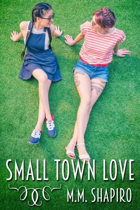 Cover image for book Small Town Love