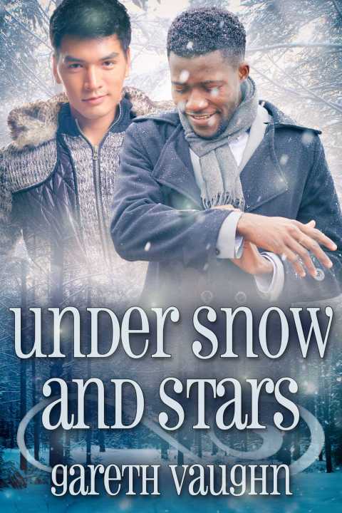 Cover image for book Under Snow and Stars