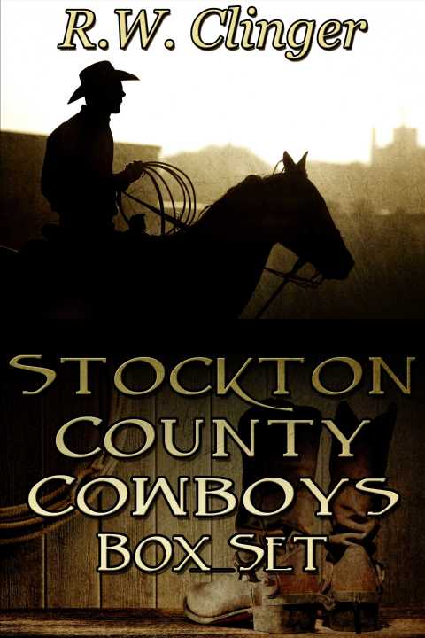 Cover image for book Stockton County Cowboys Box Set