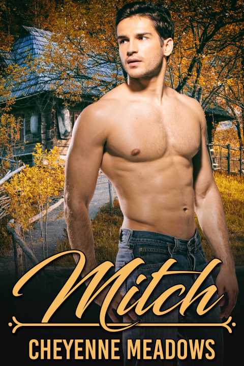 Cover image for book Mitch