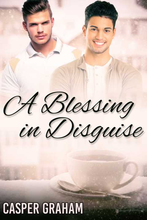 Cover image for book A Blessing in Disguise