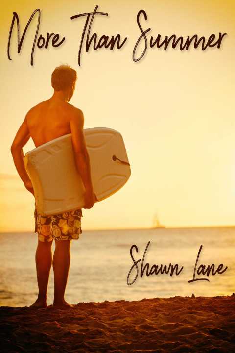 Cover image for book More Than Summer
