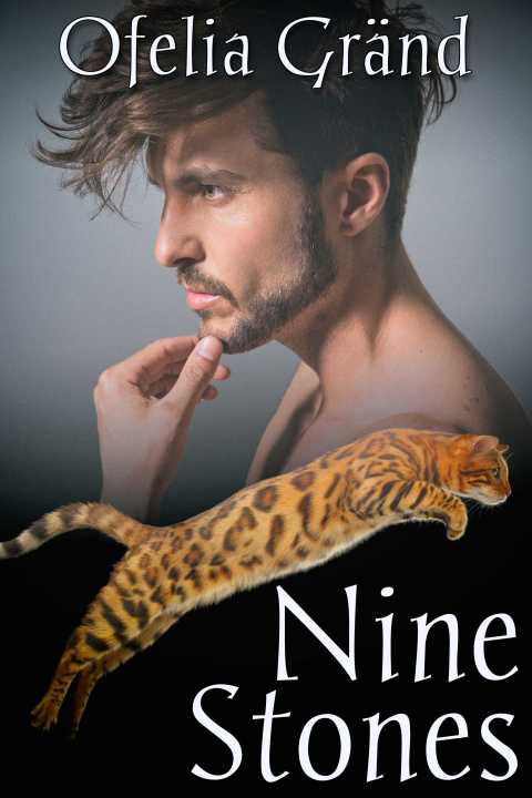 Cover image for book Nine Stones