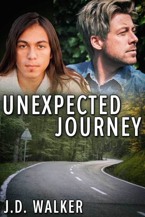 Cover image for book Unexpected Journey