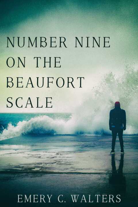 Cover image for book Number Nine on the Beaufort Scale