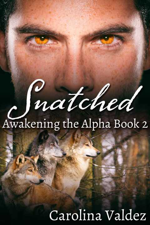 Cover image for book Snatched