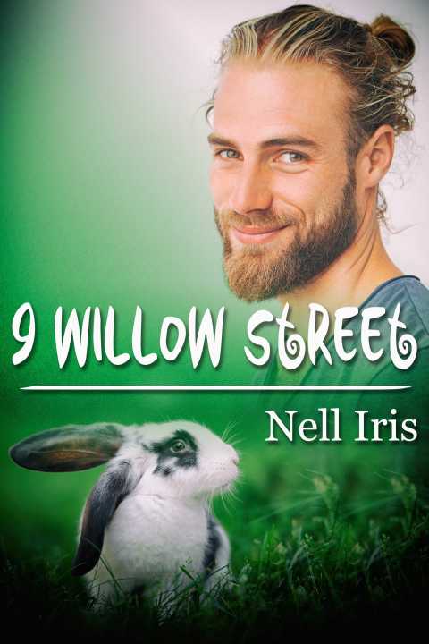Cover image for book 9 Willow Street