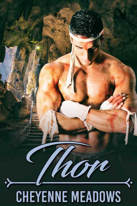 Cover image for book Thor