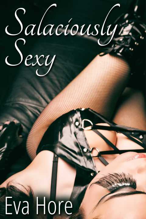 Cover image for book Salaciously Sexy