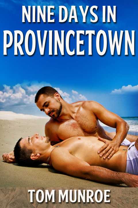 Cover image for book Nine Days in Provincetown