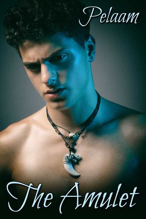 Cover image for book The Amulet