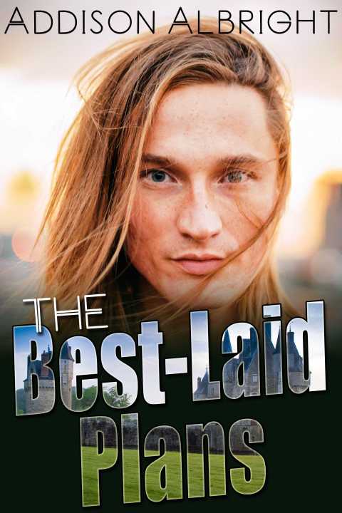 Cover image for book The Best-Laid Plans