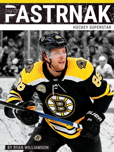 Cover image for book David Pastrnak