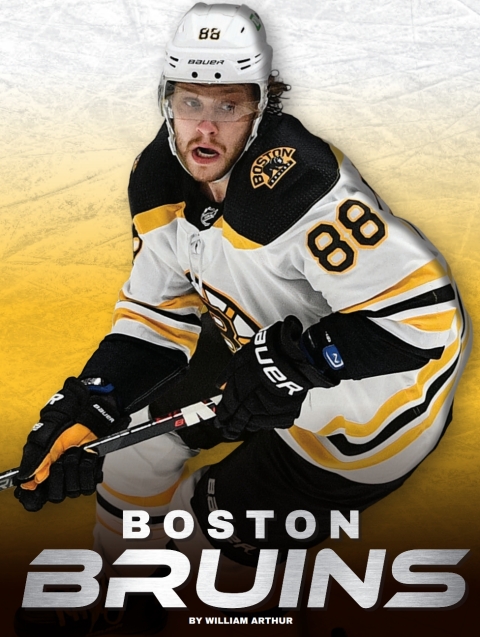 Cover image for book Boston Bruins