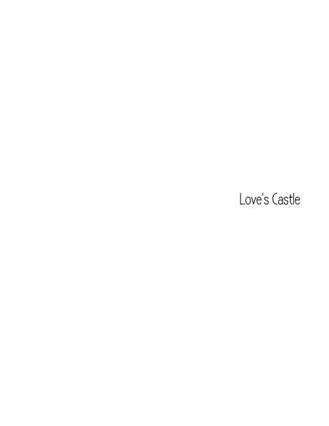 Cover image for book Love's Castle