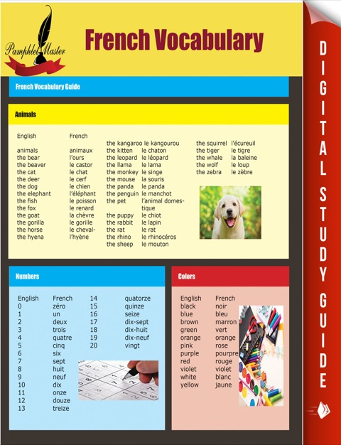 Cover image for book French Vocabulary