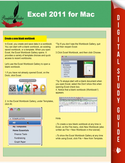 Cover image for book Excel 2011 for Mac