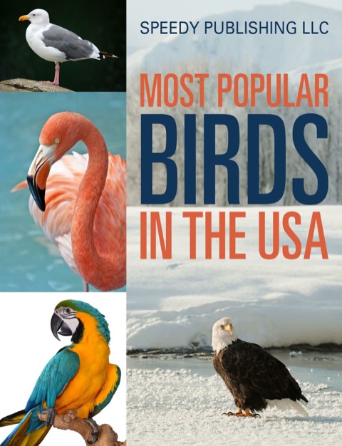 Cover image for book Most Popular Birds In The USA