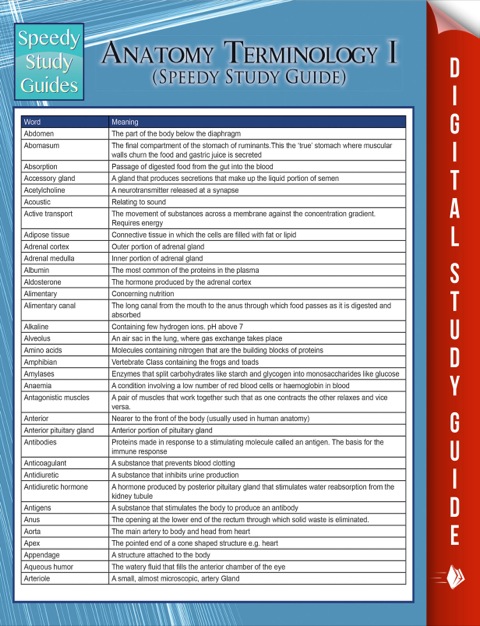 Cover image for book Anatomy Terminology I (Speedy Study Guide)