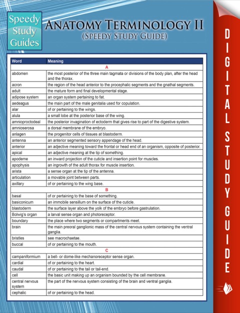 Cover image for book Anatomy Terminology II (Speedy Study Guide)