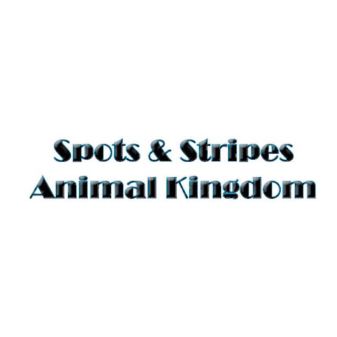 Cover image for book Spots & Stripes Animal Kingdom