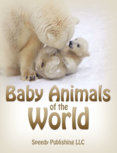Cover image for book Baby Animals Of The World