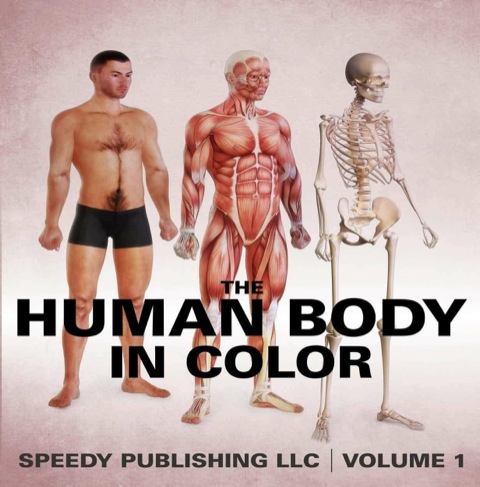 Cover image for book The Human Body In Color Volume 1
