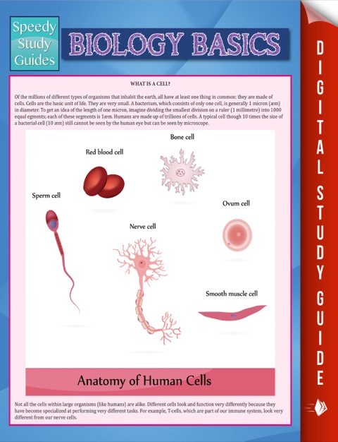 Cover image for book Biology Basics (Speedy Study Guide)