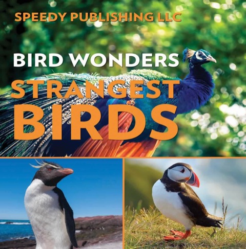 Cover image for book Bird Wonders - Strangest Birds
