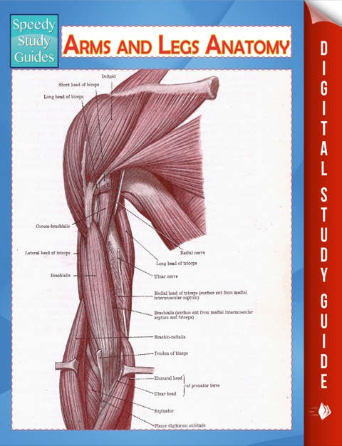 Cover image for book Arms and Legs Anatomy (Speedy Study Guide)