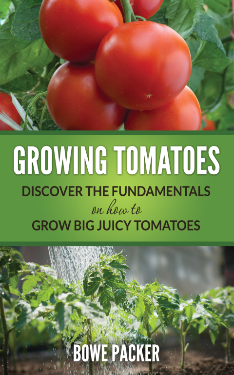 Cover image for book Growing Tomatoes