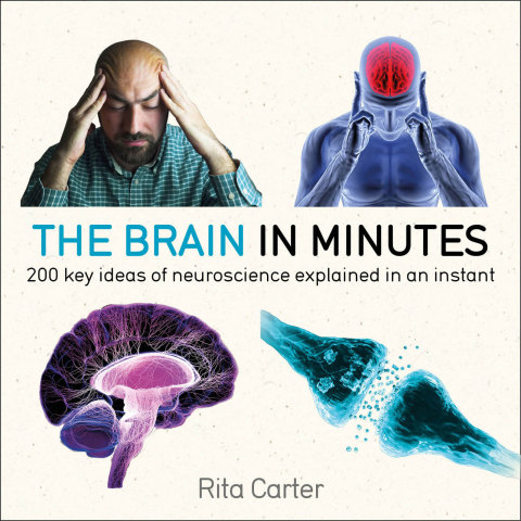 Cover image for book The Brain in Minutes