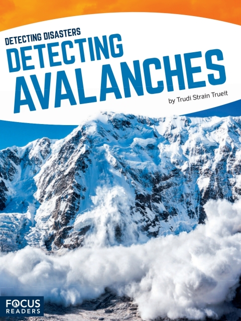 Cover image for book Detecting Avalanches