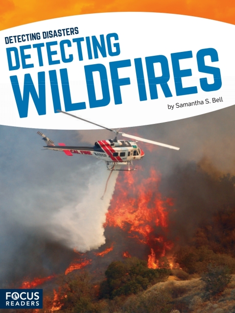 Cover image for book Detecting Wildfires