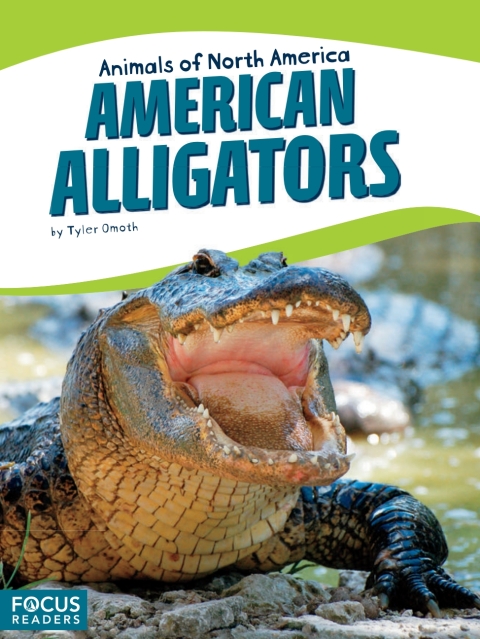 American Alligators 