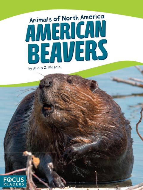 Cover image for book American Beavers