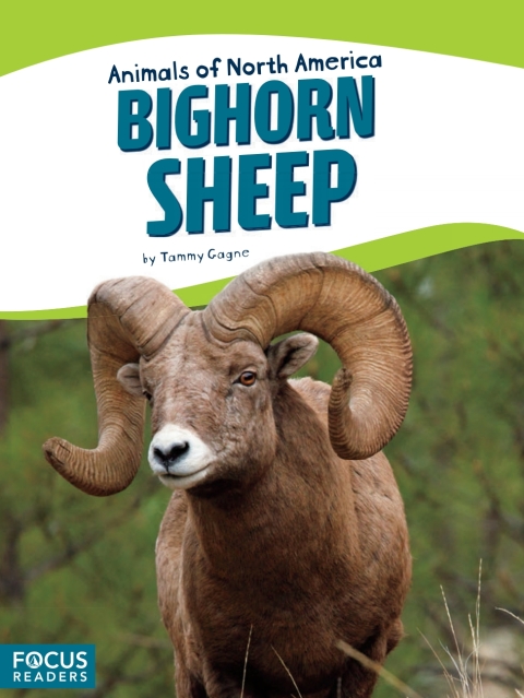 Cover image for book Bighorn Sheep