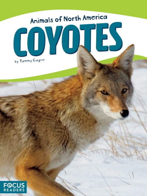 Cover image for book Coyotes