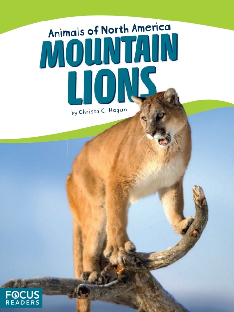 Cover image for book Mountain Lions