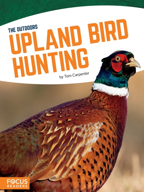 Upland Bird Hunting 